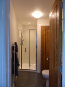 a bathroom with a shower and a toilet at Conkers - a new bespoke rural escape near Glastonbury in Glastonbury +33 photos