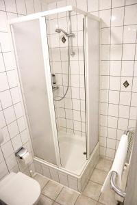 y baño con ducha y aseo. en Pension Zur Wartburg, en Olbernhau