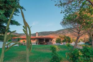 Gallery image of Cuervo Poolside Villa in Kalívia Thorikoú