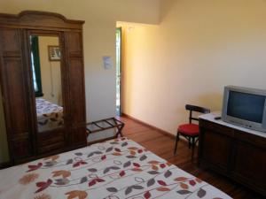 1 dormitorio con 1 cama, TV y espejo en Hostería Restaurante del Puerto en Colón