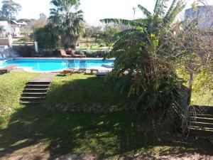 a swimming pool in a yard with a palm tree at Hostería Restaurante del Puerto in Colón