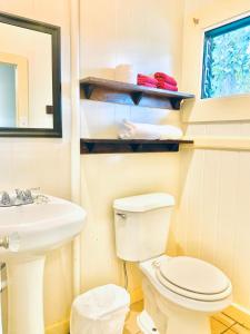 a bathroom with a toilet and a sink and a mirror at Wild Ginger Hotel in Hilo