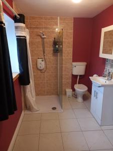a bathroom with a shower and a toilet at 3 bed corner terrace house by the sea Wicklow town in Wicklow