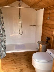 a small bathroom with a toilet and a shower at Dyfi Dens Machynlleth in Esgair-geiliog