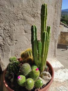 DurónCasa Rural El Botánico的相册照片