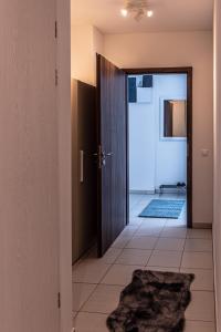 Fotografia z galérie ubytovania Amphora Luxury Apartment with FREE private Parking and cozy Balcony v Budapešti