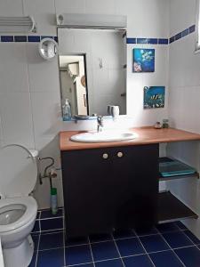 Bagno di SAINTE-LUCE 2 T1 HIBISCUS et COLIBRIS