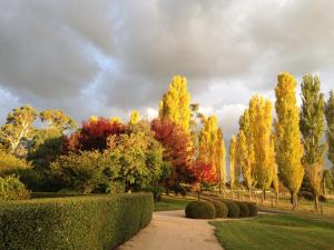 a path in a park with trees and bushes at Glen Waverly Farmstay in Glen Innes