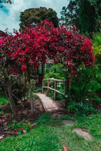 a garden with red flowers in front of a fence at Hotel Casa de Nelly in San Agustín