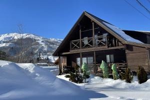 Το Alpine Chalets Hakuba τον χειμώνα