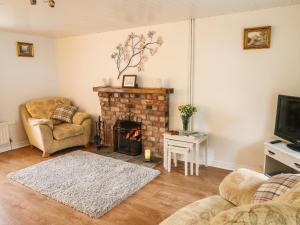 uma sala de estar com lareira e televisão em Shaws Hill Farmhouse em Ballymena