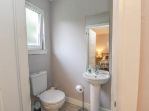 a bathroom with a toilet and a sink and a mirror at Holly Cottage in Glencoe +16 photos