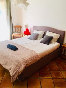 uma cama com duas almofadas num quarto em Rez de jardin de chalet bois , calme et verdure ! em Saint-Martin-Vésubie