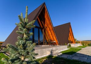 波亚纳默鲁卢伊Green Hill Panoramic的前面有圣诞树的房子