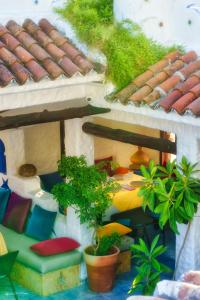 A garden outside Casa Hassan