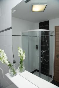 Primus Hotel & Apartments tesisinde bir banyo