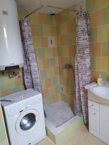 uma casa de banho com uma máquina de lavar roupa e um chuveiro em Ubytování v soukromí em Němčičky