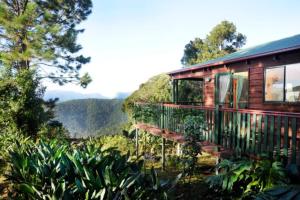 una cabaña en medio de un bosque con montañas en el fondo en Clouds Chalet, en Beechmont