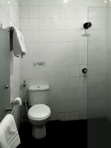 y baño pequeño con aseo y ducha. en Hotel Sinar 3 en Sedati