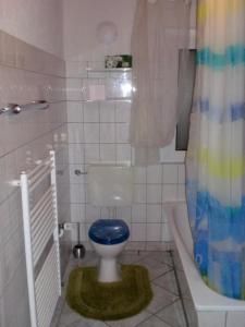 a bathroom with a blue toilet and a shower at Ostseebrise 2 in Zingst