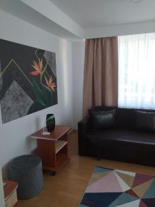 un soggiorno con divano nero e tavolo di MIRAJ ad Azuga