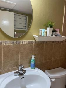 a bathroom with a sink and a mirror and a toilet at Cityscape at Chelsea Manor / New Kingston Studio! in Kingston