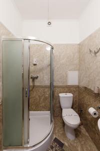 a bathroom with a toilet and a glass shower at Patkovski in Bukovel +75 photos