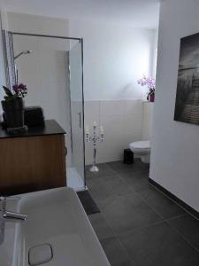 een badkamer met een glazen douche en een toilet bij Ferienwohnung Sonnenplatzl in Michelsneukirchen