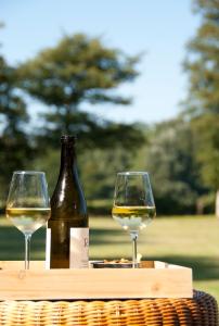 een fles wijn en twee glazen op een tafel bij B&B Hof ter Lemferdinge in Paterswolde