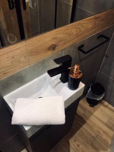 Baño con lavabo y toalla en Apartamenty Wojewódzka en Katowice