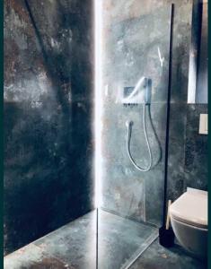 a bathroom with a shower stall with a toilet at Icon Apartaments Drobnera studio in Wrocław