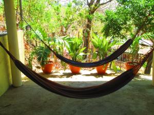 een hangmat in een kamer met potplanten bij Casita Escondida - Incredible View in La Libertad
