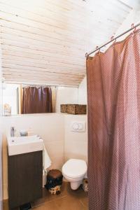 a bathroom with a toilet and a sink and a shower at Barba Zoran in Bol +57 photos