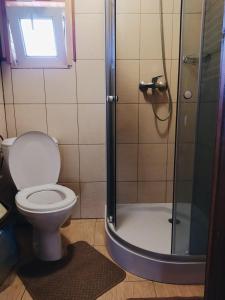 a bathroom with a toilet and a shower at Sadyba Vyshenka in Tatariv