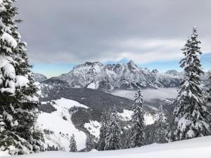 Paesaggio naturale nelle vicinanze dell'affittacamere