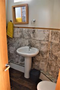 a bathroom with a sink and a mirror at The Little Pheasant Apartment Ironbridge Gorge in Broseley