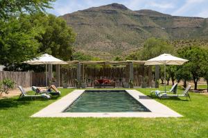 a pool with chairs and umbrellas in a yard at Langhuis Guesthouse in Graaff-Reinet