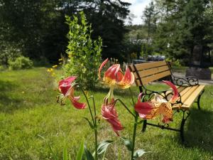 Zahrada ubytování Au Cachalot Caché le gîte hôtel