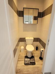 a bathroom with a white toilet and a mirror at charmant appartement confort déco neuf , proche Epinal et Lac de Bouzey in Uxegney