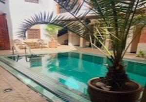 una maceta sentada junto a una piscina en Riad Palmier, en Marrakech