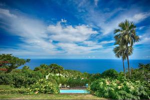 - une piscine avec un palmier et l'océan dans l'établissement La Maison d'Edith, à La Montagne