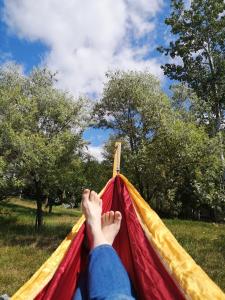 Fotografie z fotogalerie ubytování Au Cachalot Caché le gîte hôtel v destinaci Tadoussac
