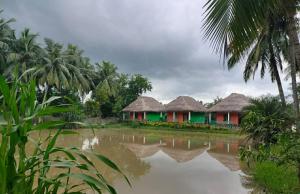 a row of houses with palm trees and water at Nature Camp Bhitarkanika Retreat in Righāgarh +6 photos