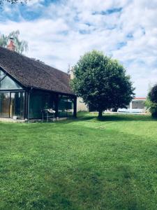 Κήπος έξω από το Quinta +2 φωτογραφίες