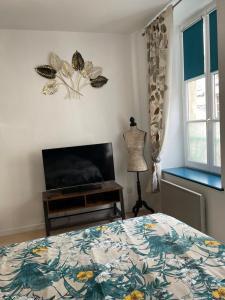 Μια τηλεόραση ή/και κέντρο ψυχαγωγίας στο Studio cosy confortable en centre ville