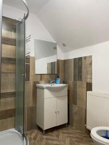een badkamer met een wastafel en een douche bij LIKE HOME in Rîşnov