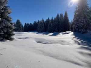 Apartmány Hacienda Boží Dar v zime