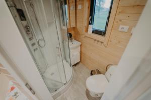 Ванная комната в La Casuta din Ciocanesti Exclusive