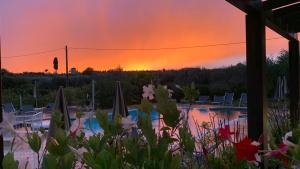 a sunset over a pool with flowers in the foreground at Villa Maddalena in Bardolino