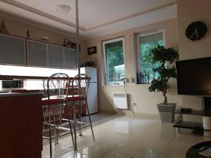 Kuchyňa alebo kuchynka v ubytovaní Apartament Maria